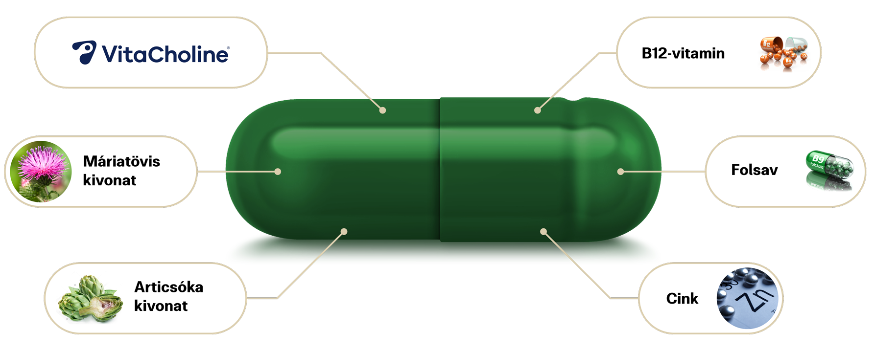 Kapsule Hepactum™ FORTE